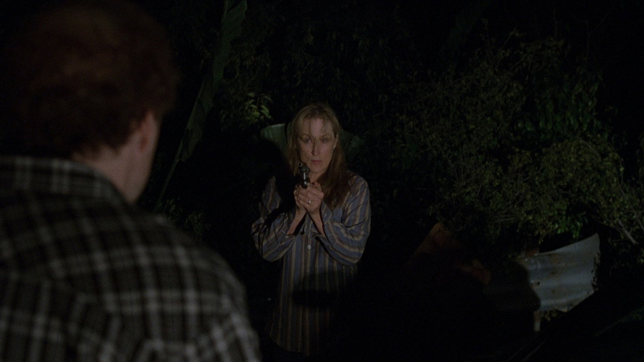 Susan Orlean pointing a gun at Charlie in the dark Florida swamp at night