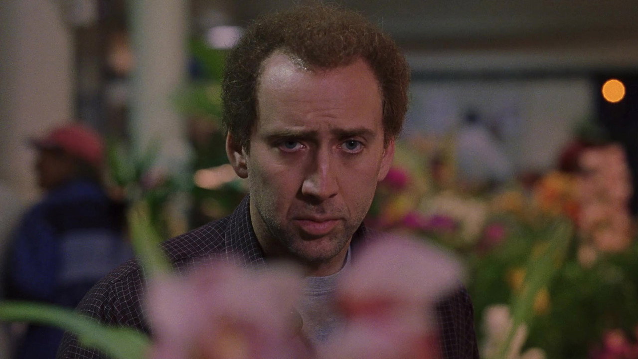 Close-up of Charlie among flowers, anxious