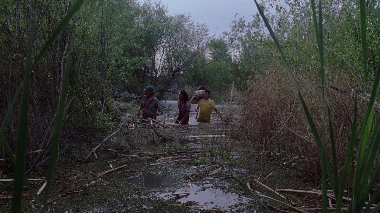 Three figures wading deep into a dark Florida swamp at dusk